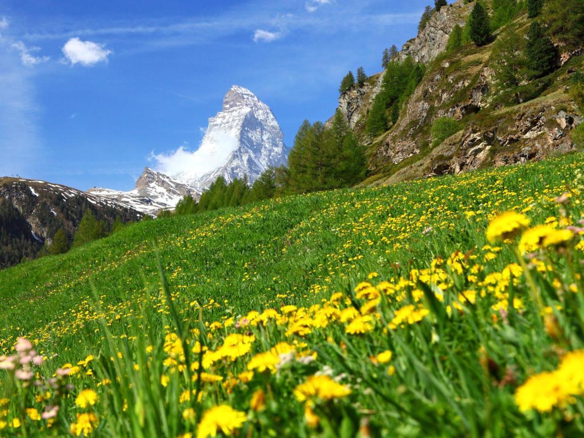 Apartment Bodmen A By Interhome Zermatt Exterior foto